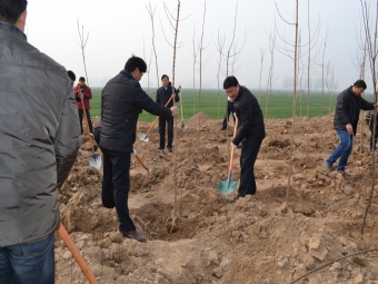 ���˴���ؿ�չ����ֲ���