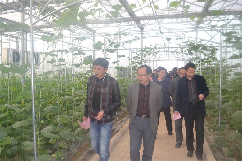 ���˴�ί���������ũҵ��ҵ����Ŀ