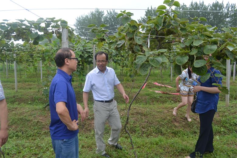 ���˴�ί�Ὺչ��׼��ƶ��������