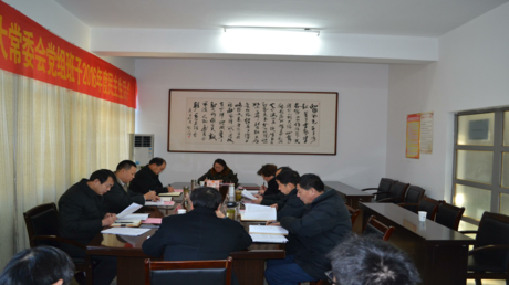 ���˴�ί�ᵳ��2016�������������ٿ�